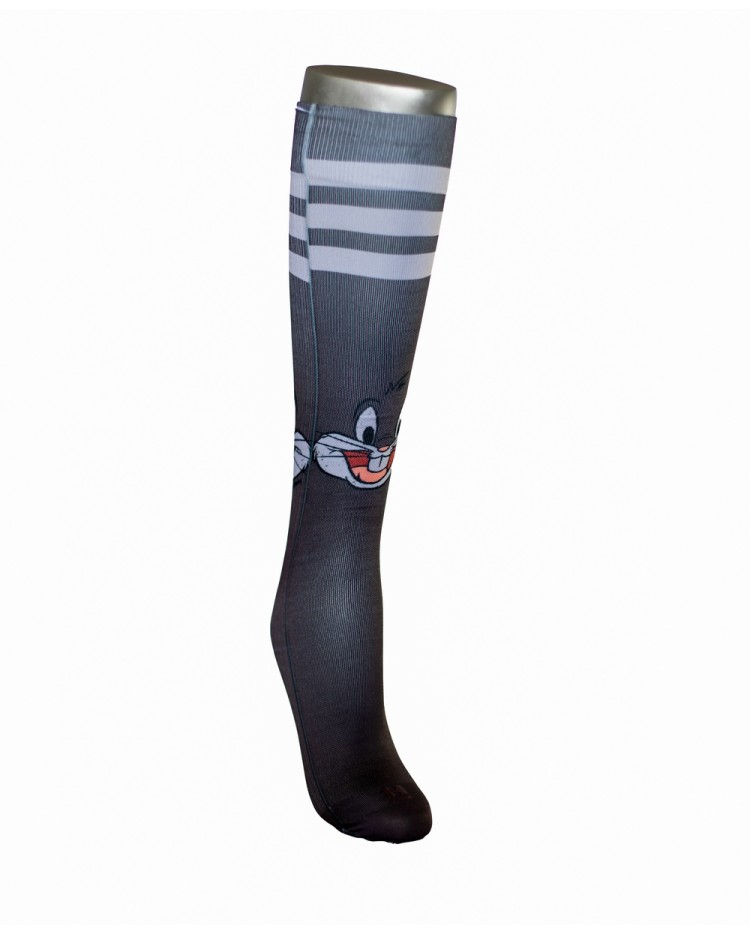 Diseño HS010