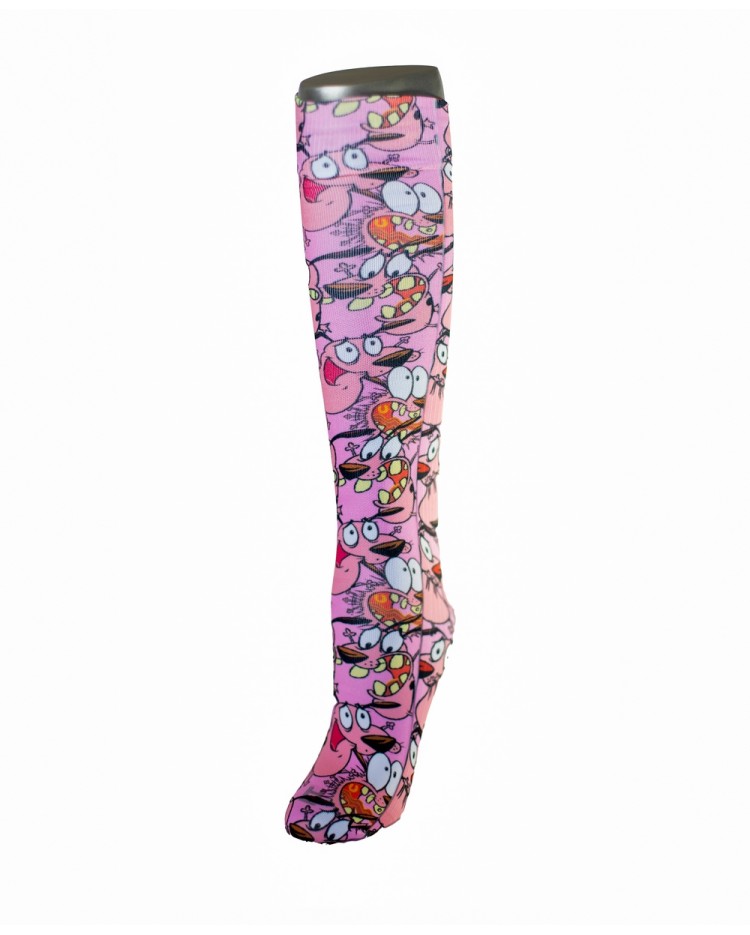 Diseño HS019