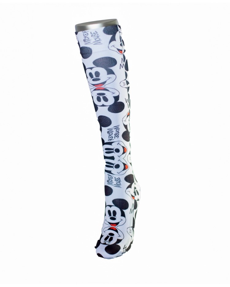 Diseño HS045
