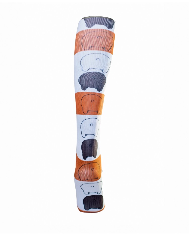 Diseño HS067